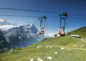 ZipRider® in Grindelwald, Switzerland